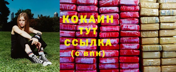 соль ск Елизово