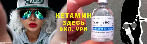 стафф Заводоуковск