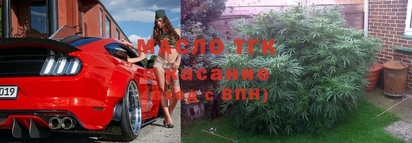стаф Елабуга