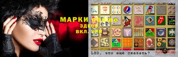 стаф Елабуга