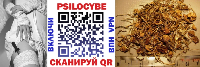 Галлюциногенные грибы Magic Shrooms  купить наркоту  Зубцов 